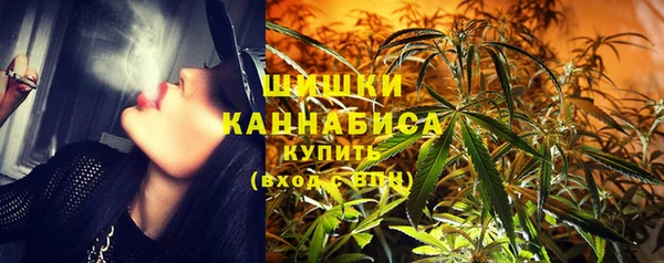 прущий лед Заводоуковск