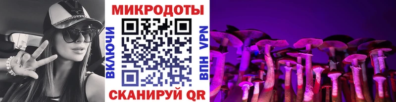 Галлюциногенные грибы Cubensis  магазин  наркотиков  Кингисепп 
